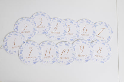 Set milestone kartica Timeless Garden